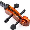 Cello Musical Instrument Adult Basswood Maple-3