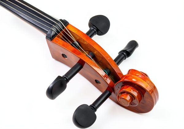 Cello Musical Instrument Adult Basswood Maple-3