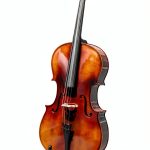 Pavo Acoustic Cello Matte Finish Maple-0