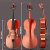 Full Size Acoustic Cello PYY Maple Spruce Design-5