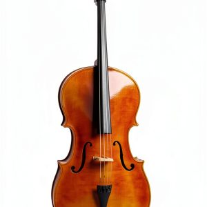 Cello Musical Instrument Adult Basswood Maple-0