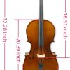 Xiangzi 1/8 Cello Maple Back Professional Student-1