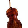 Acoustic Cello SC-500 Maple Spruce-1