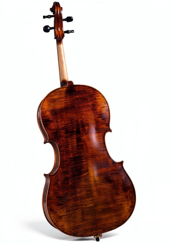 Acoustic Cello SC-500 Maple Spruce-1