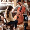 Full Size Acoustic Cello PYY Maple Spruce Design-4