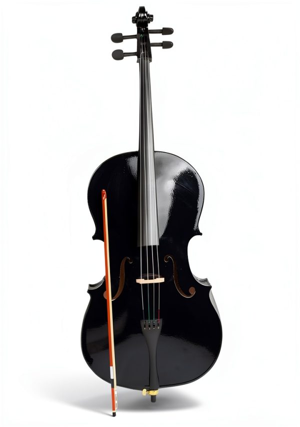 Cello Case Set for Adults Maple Spruce Top-6