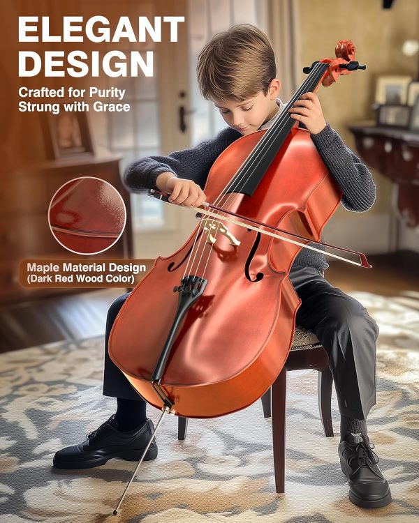 Full Size Acoustic Cello PYY Maple Spruce Design-2