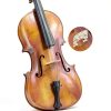 Harmony Acoustic Cello Maple Basswood Size Adult-3