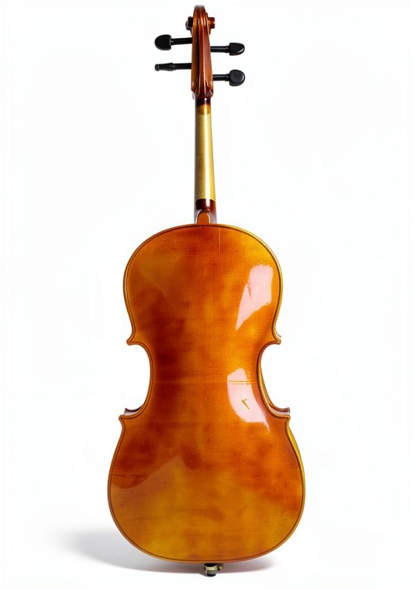 Cello Musical Instrument Adult Basswood Maple-2