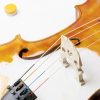 Cello Musical Instrument Adult Basswood Maple-4