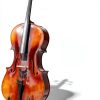 Pavo Acoustic Cello Matte Finish Maple-1