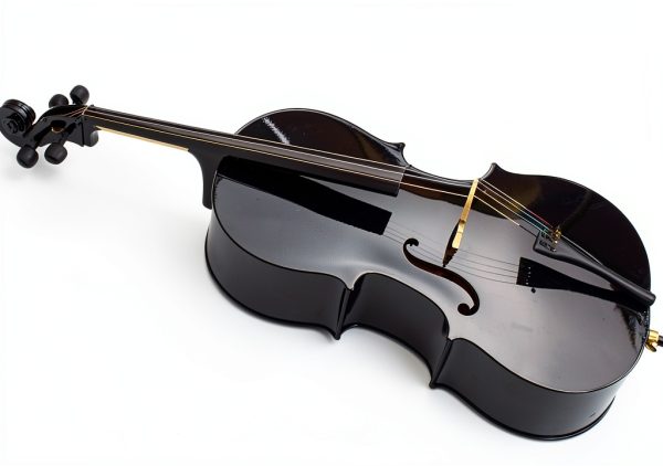 Cello Case Set for Adults Maple Spruce Top-4