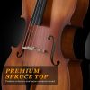 Acoustic Cello for Beginners Matte-2
