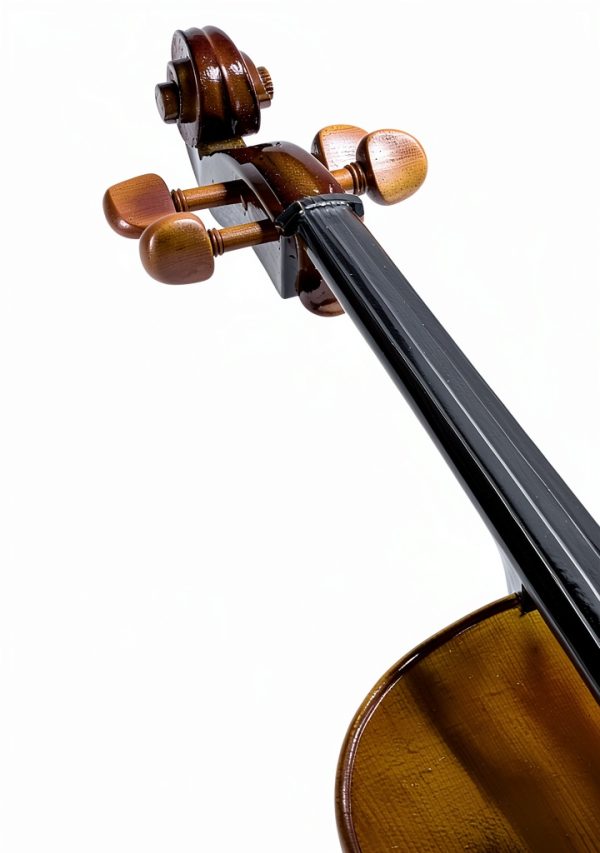 Cello Musical Instrument 4/4CCO-300 Maple Spruce-1