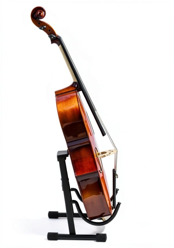 Pavo Acoustic Cello Matte Finish Maple-3